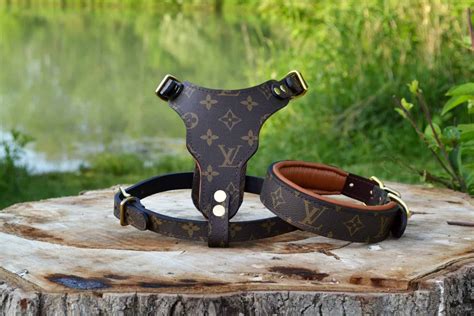 louis vuitton dog harness|Louis Vuitton small dog collar.